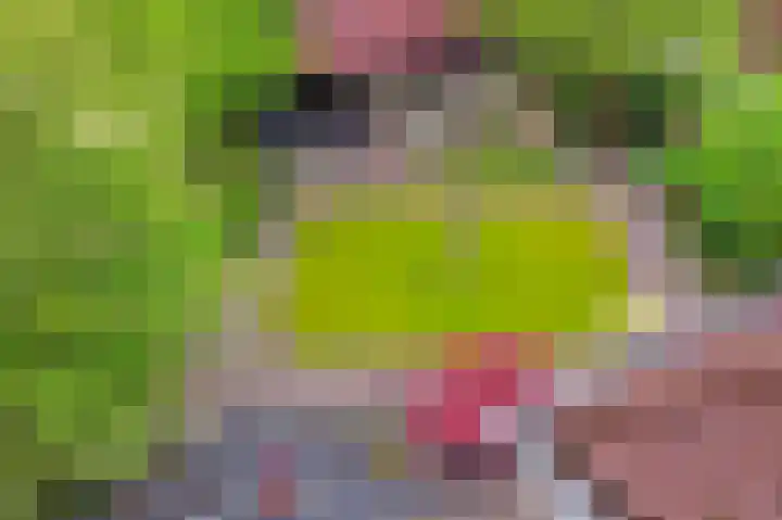 Juttepeer 13 Dodewaard thumbnail 38
