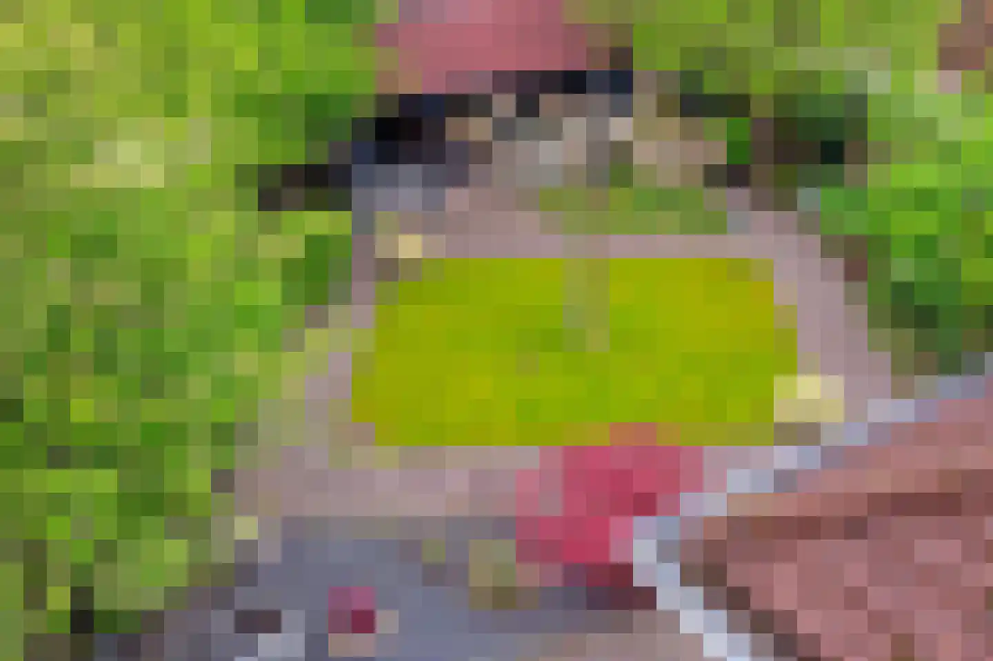 Juttepeer 13 Dodewaard thumbnail 38