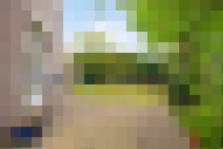 Juttepeer 13 Dodewaard thumbnail 39