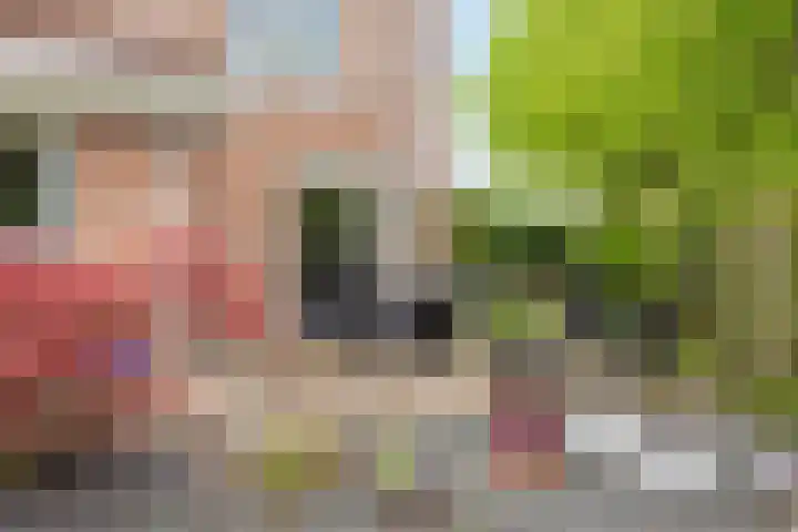 Juttepeer 13 Dodewaard thumbnail 40