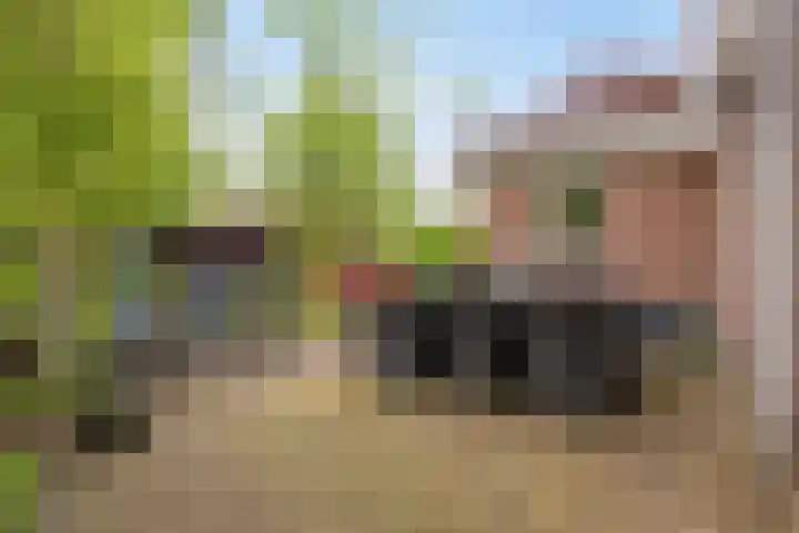 Juttepeer 13 Dodewaard thumbnail 41
