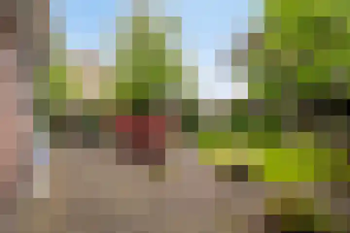 Juttepeer 13 Dodewaard thumbnail 42