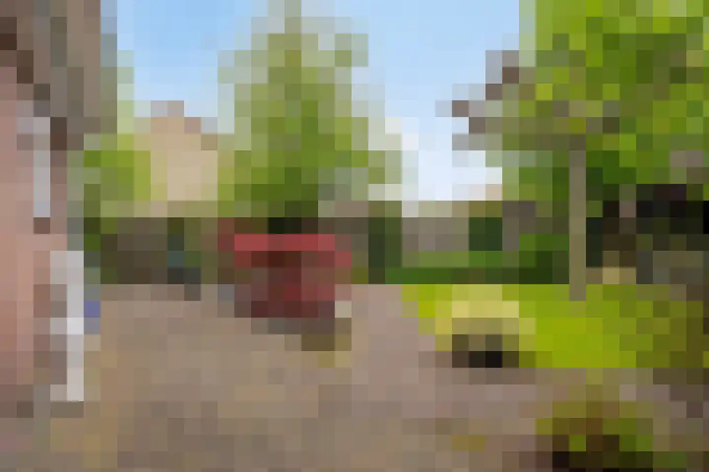 Juttepeer 13 Dodewaard thumbnail 42