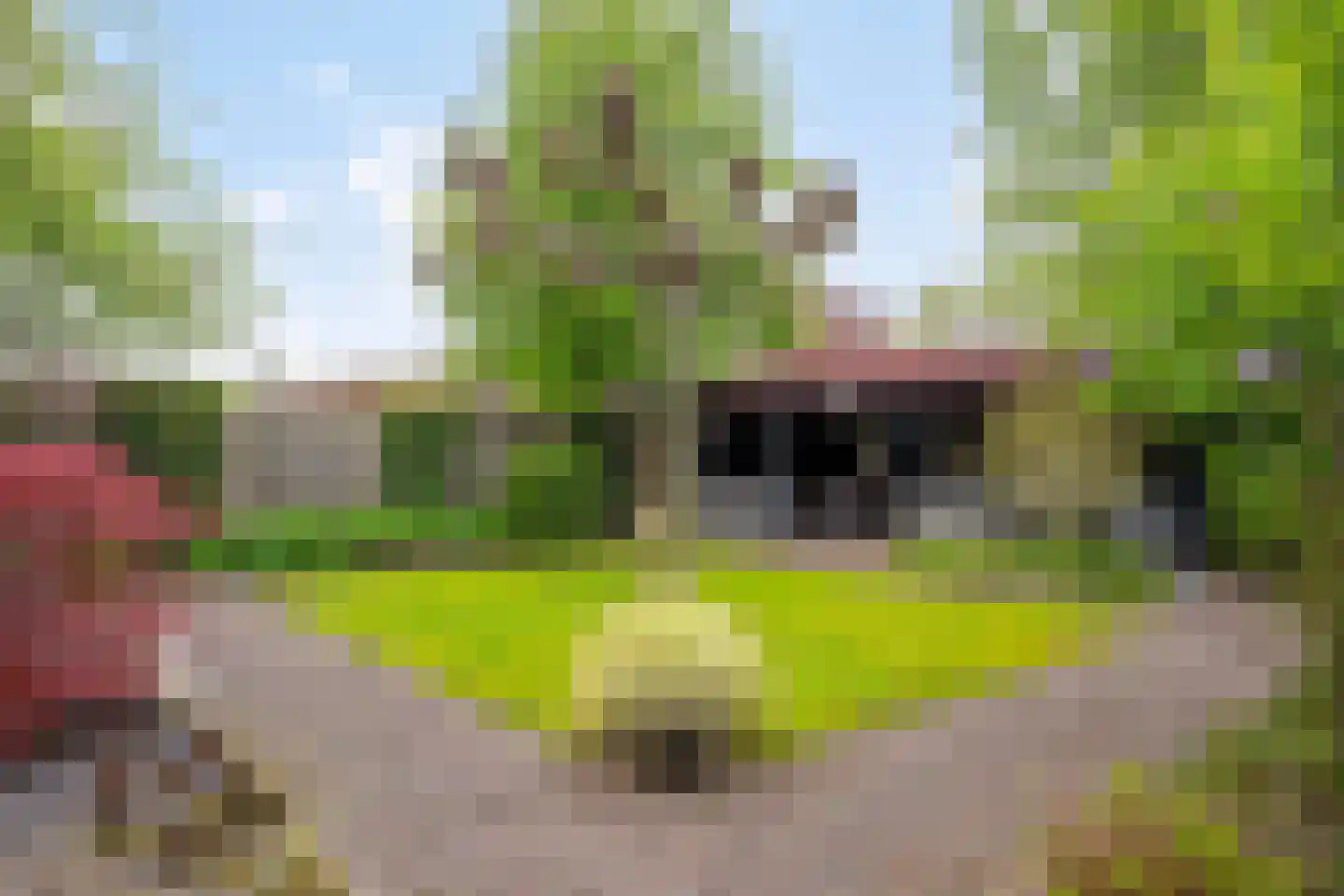 Juttepeer 13 Dodewaard thumbnail 44