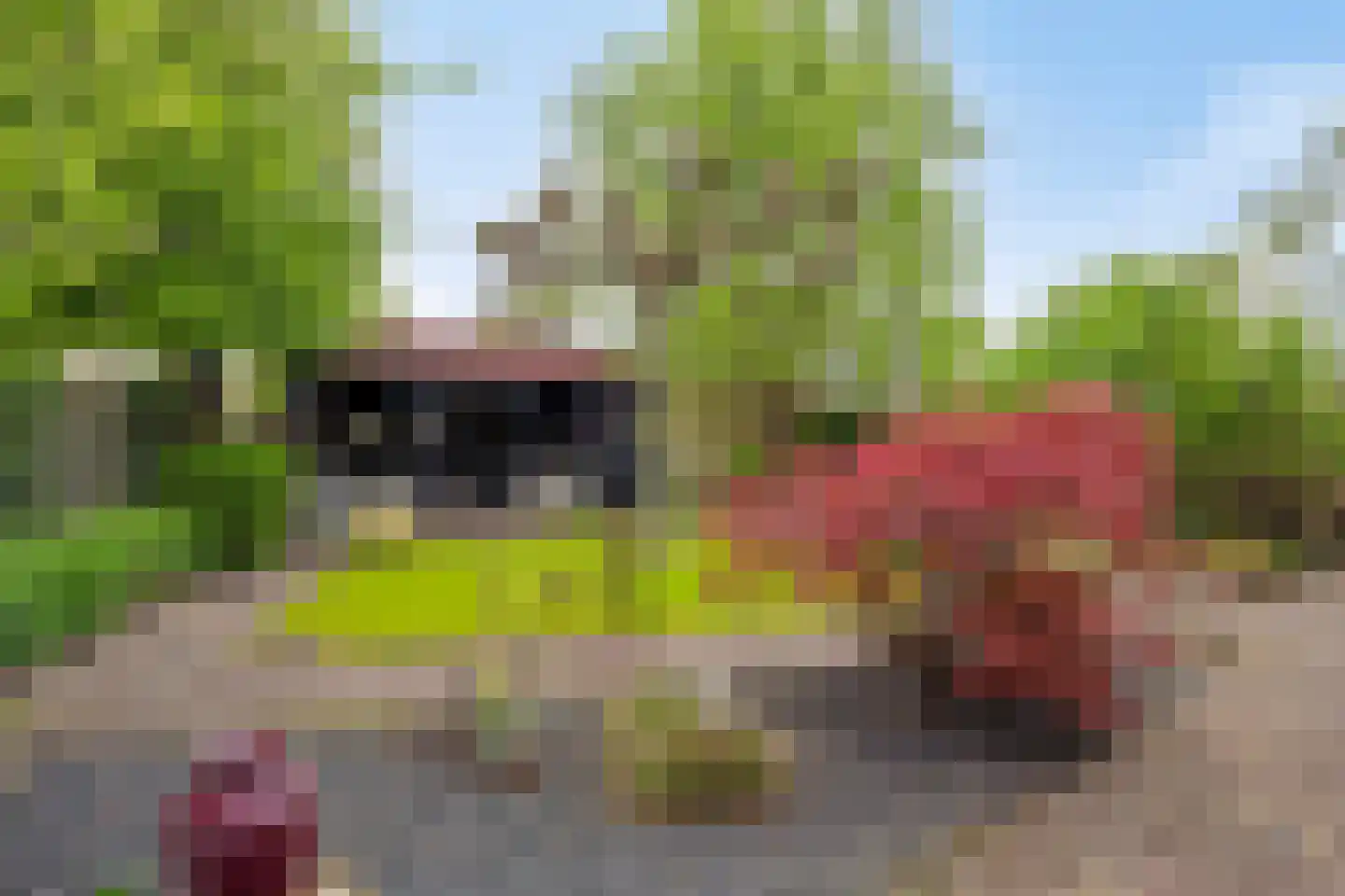 Juttepeer 13 Dodewaard thumbnail 44