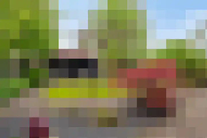 Juttepeer 13 Dodewaard thumbnail 44