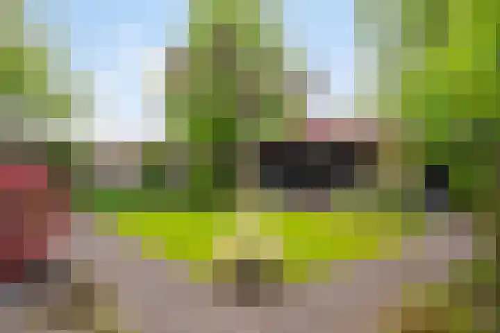 Juttepeer 13 Dodewaard thumbnail 45