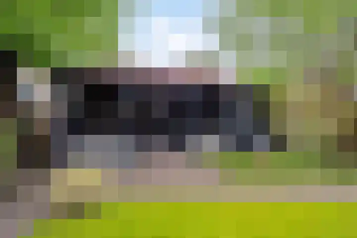 Juttepeer 13 Dodewaard thumbnail 46