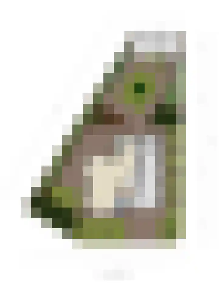 Juttepeer 13 Dodewaard thumbnail 48