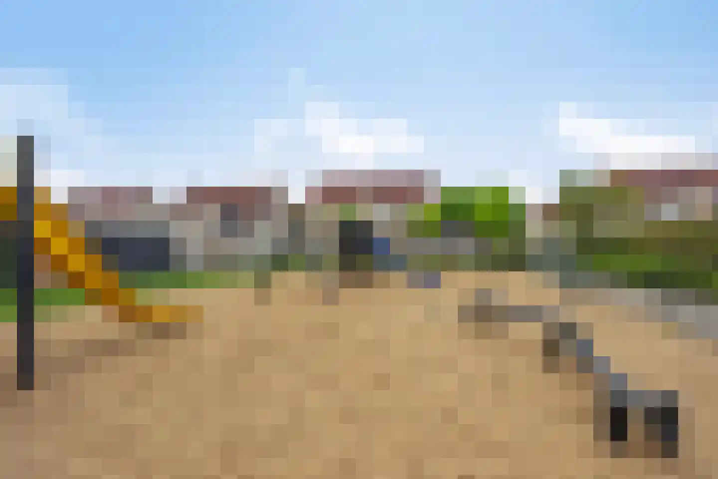 Juttepeer 13 Dodewaard thumbnail 49