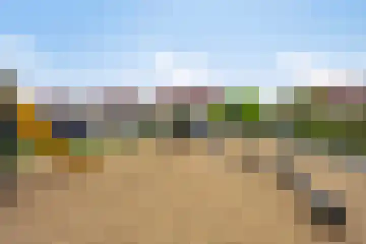 Juttepeer 13 Dodewaard thumbnail 49