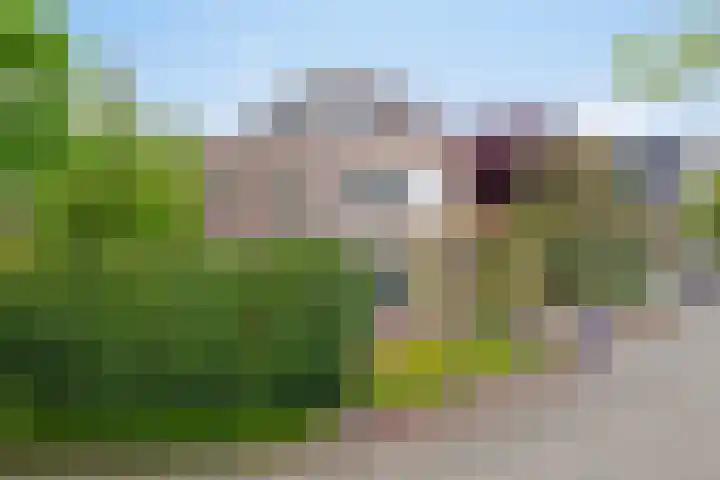 Juttepeer 13 Dodewaard thumbnail 5