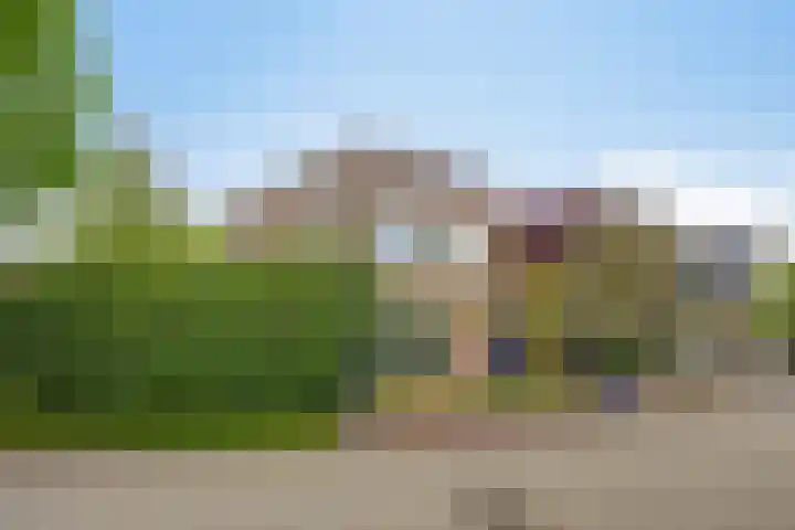Juttepeer 13 Dodewaard thumbnail 6