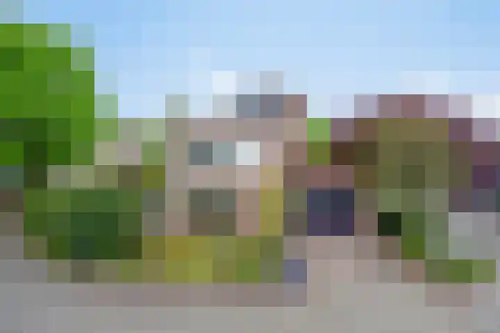 Juttepeer 13 Dodewaard thumbnail 7
