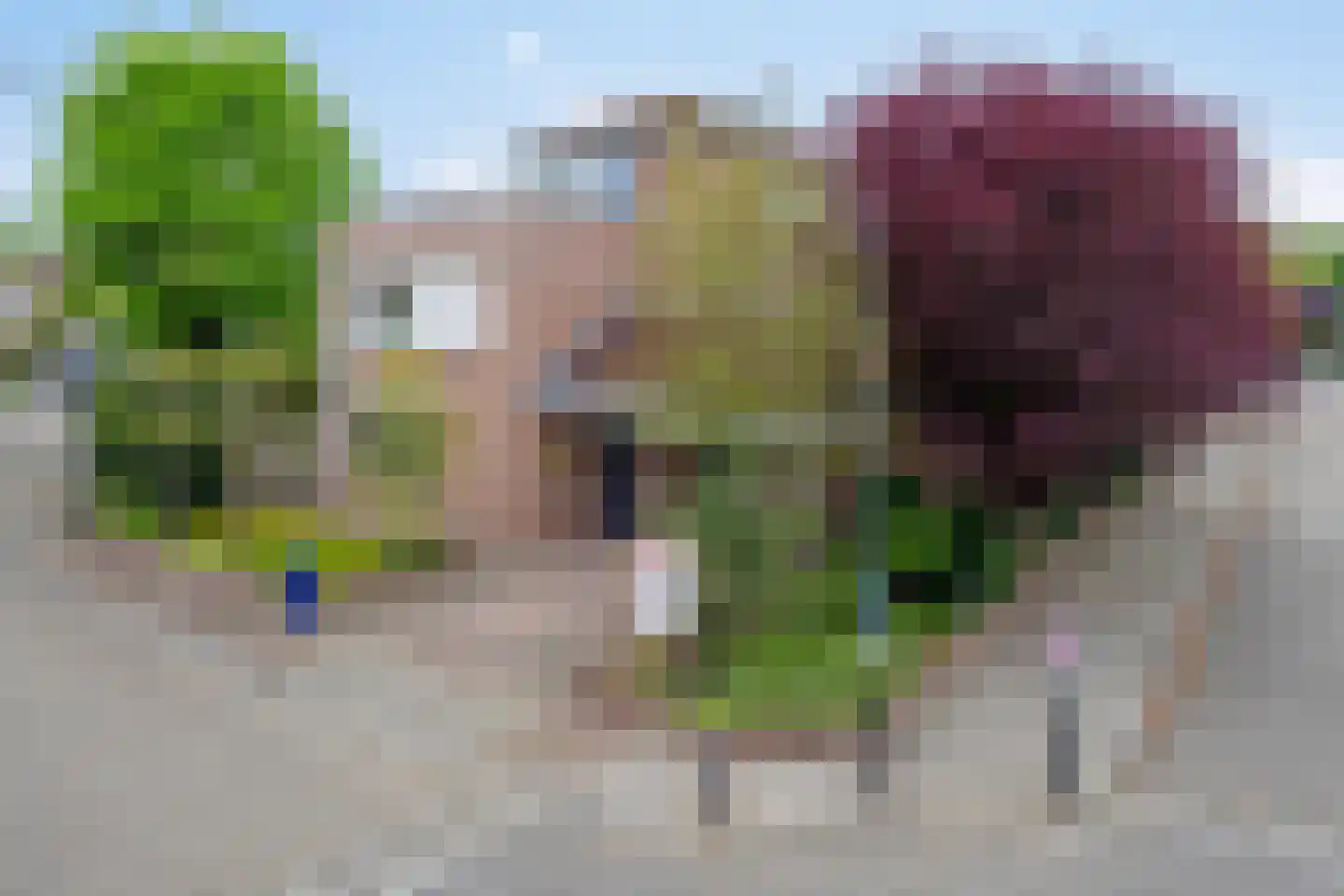 Juttepeer 13 Dodewaard thumbnail 9