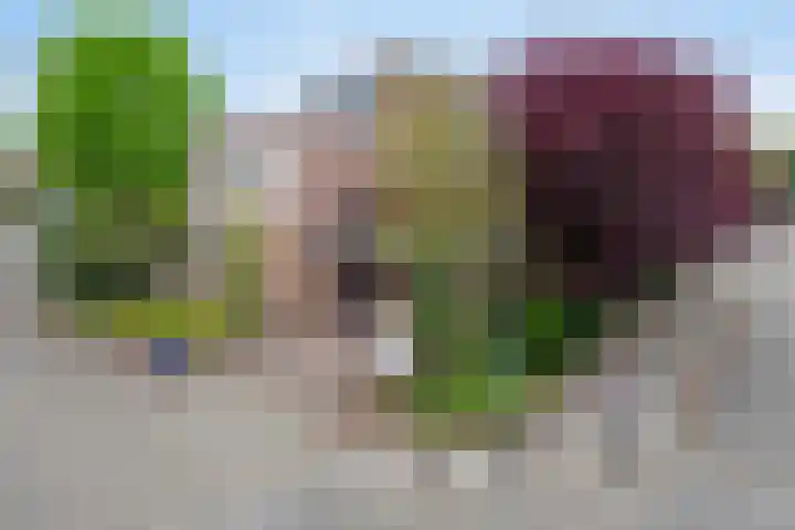 Juttepeer 13 Dodewaard thumbnail 9