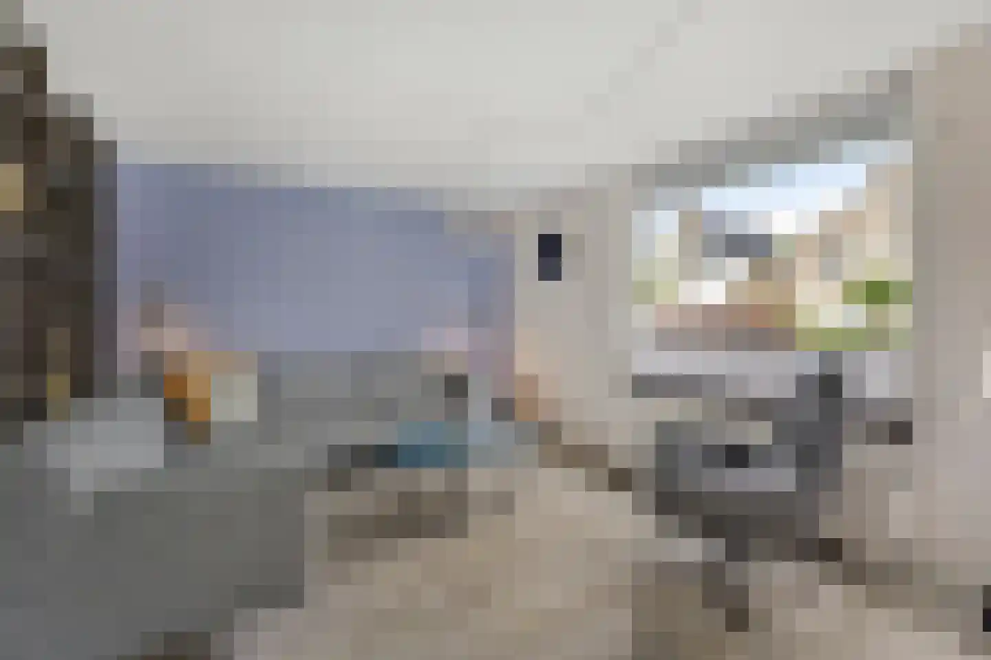 Juttepeer 13 Duiven thumbnail 14