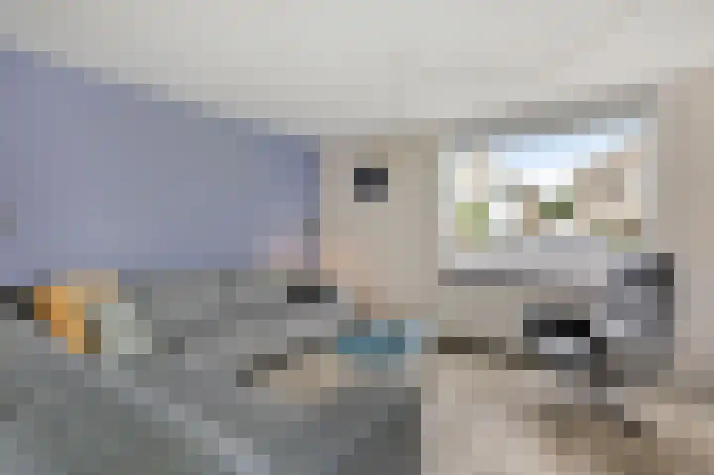Juttepeer 13 Duiven thumbnail 15