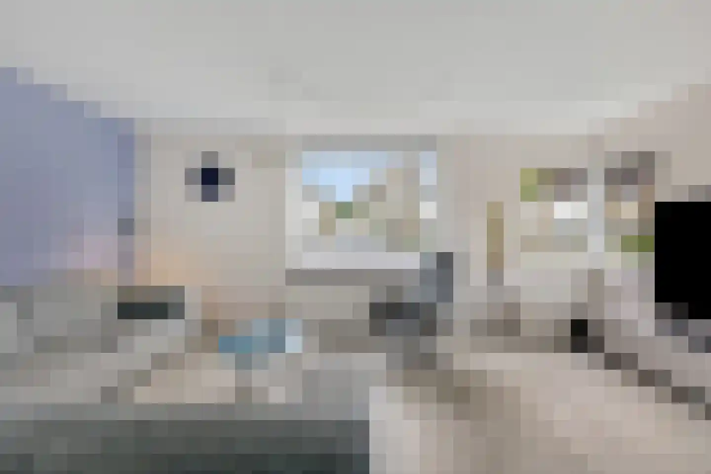 Juttepeer 13 Duiven thumbnail 16