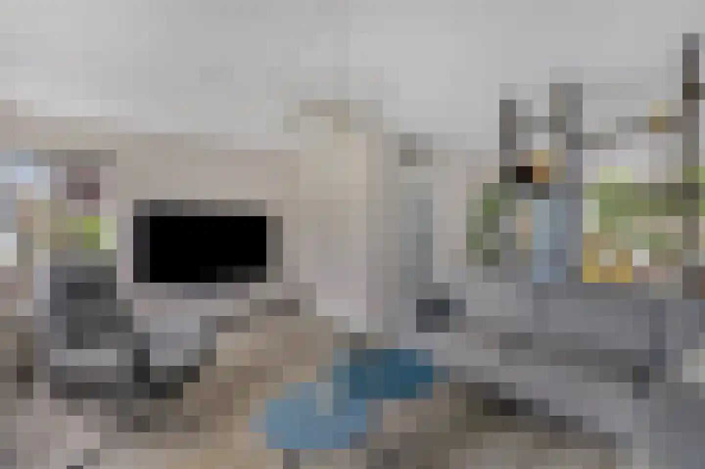 Juttepeer 13 Duiven thumbnail 18