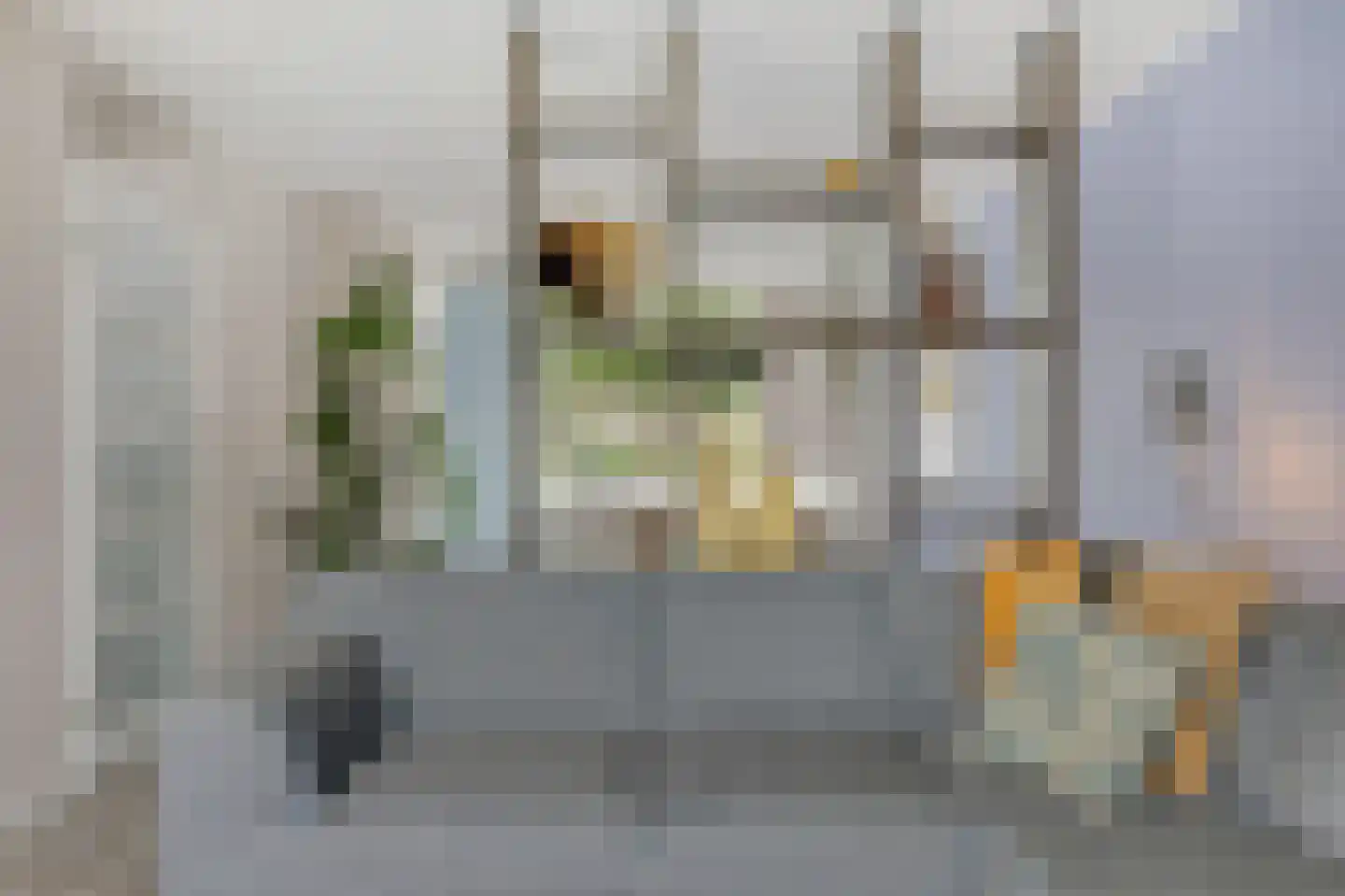 Juttepeer 13 Duiven thumbnail 19