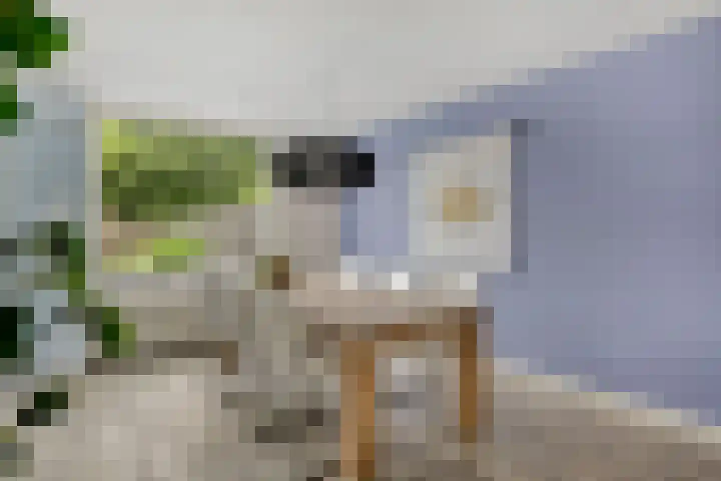 Juttepeer 13 Duiven thumbnail 20