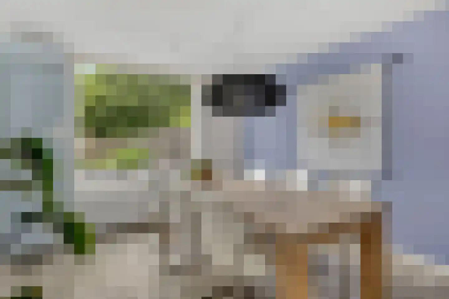 Juttepeer 13 Duiven thumbnail 21