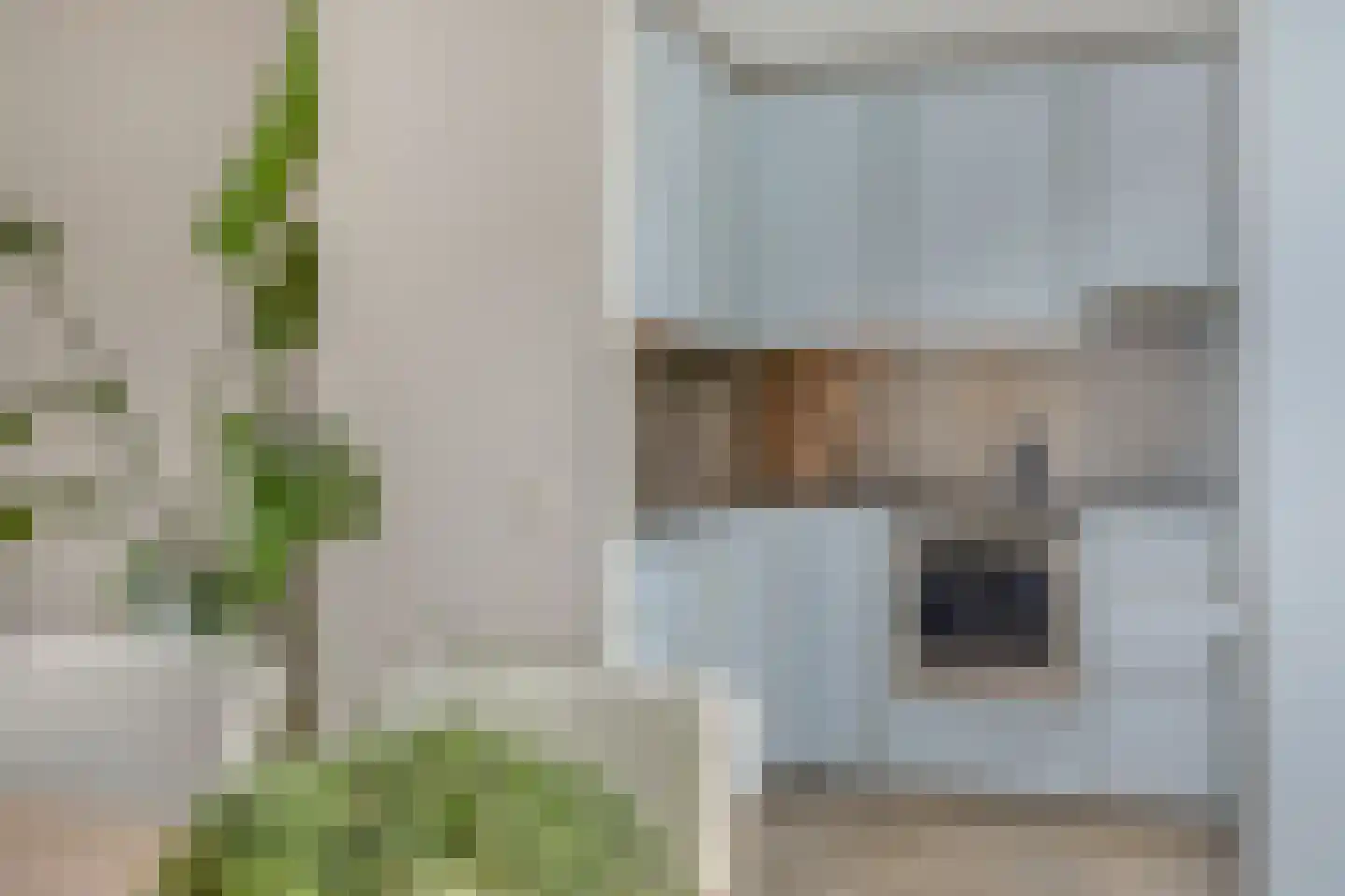 Juttepeer 13 Duiven thumbnail 25