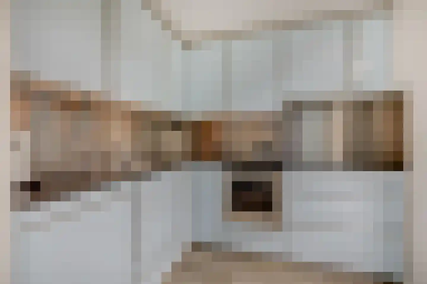 Juttepeer 13 Duiven thumbnail 26
