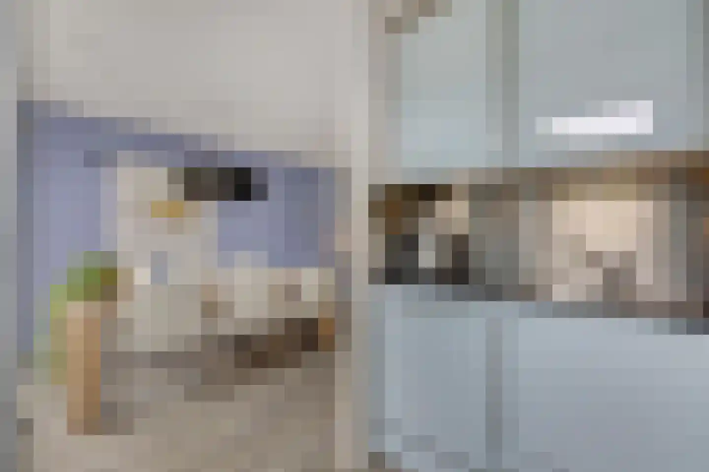 Juttepeer 13 Duiven thumbnail 29