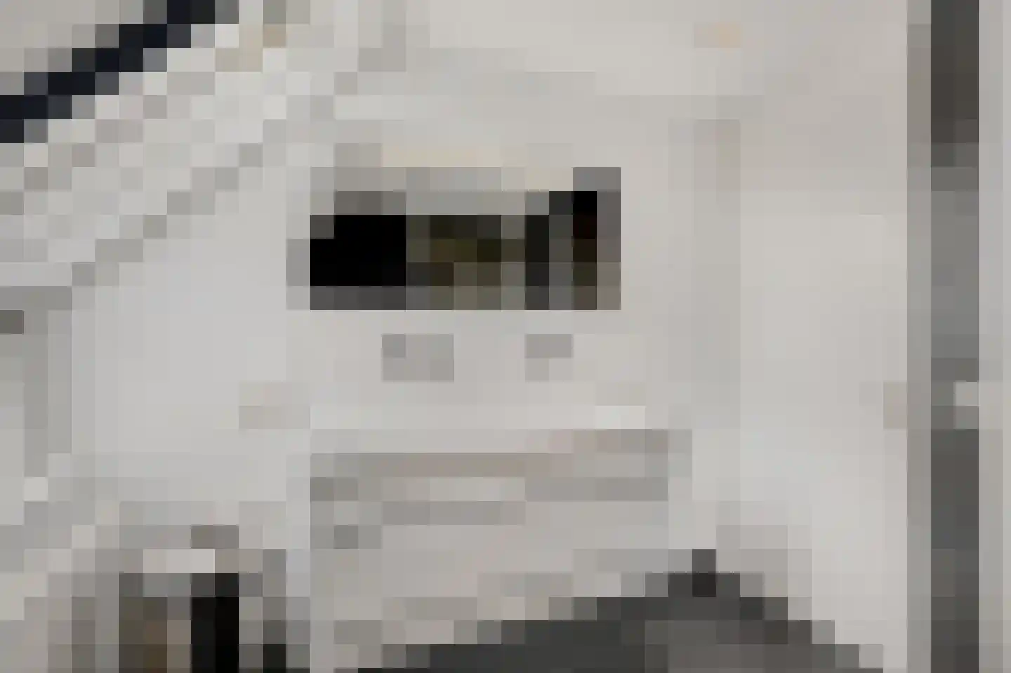 Juttepeer 13 Duiven thumbnail 39