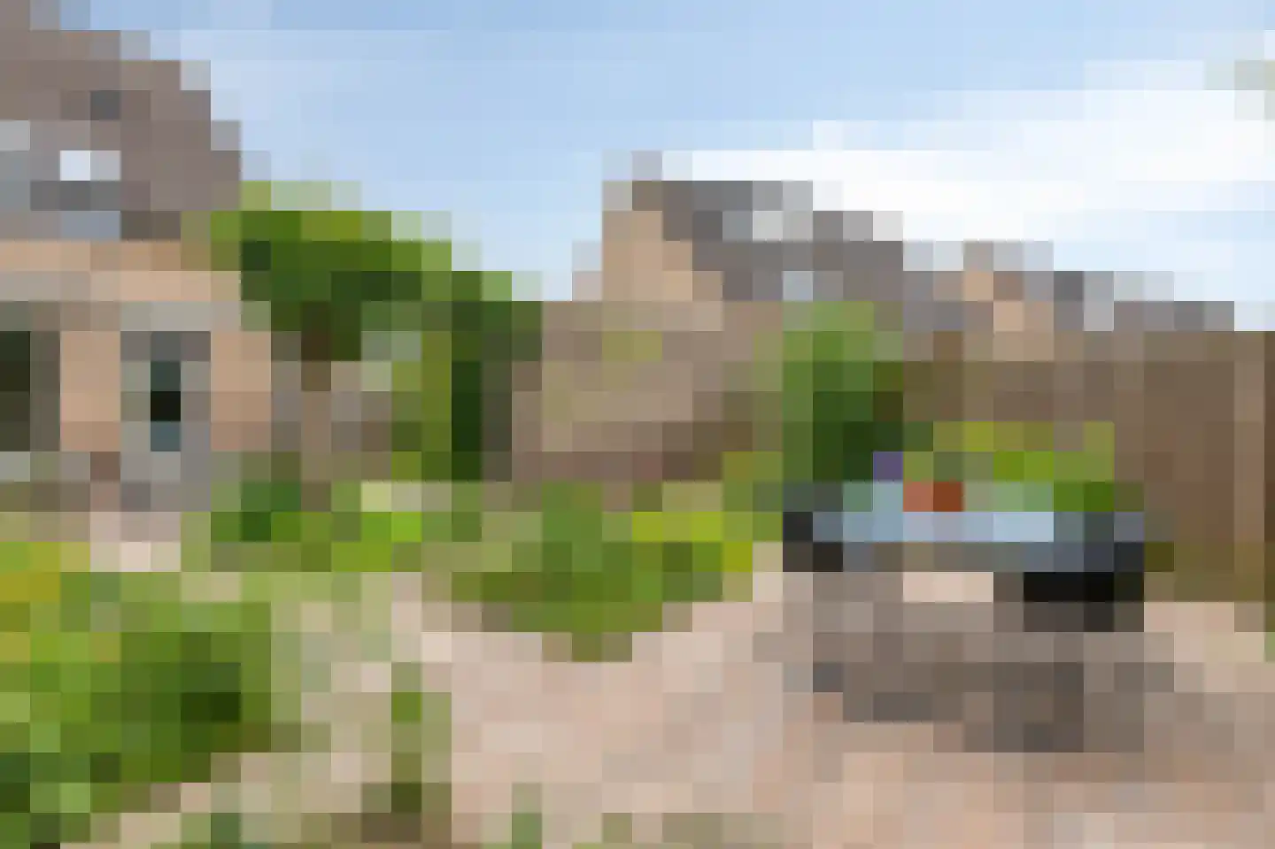 Juttepeer 13 Duiven thumbnail 4