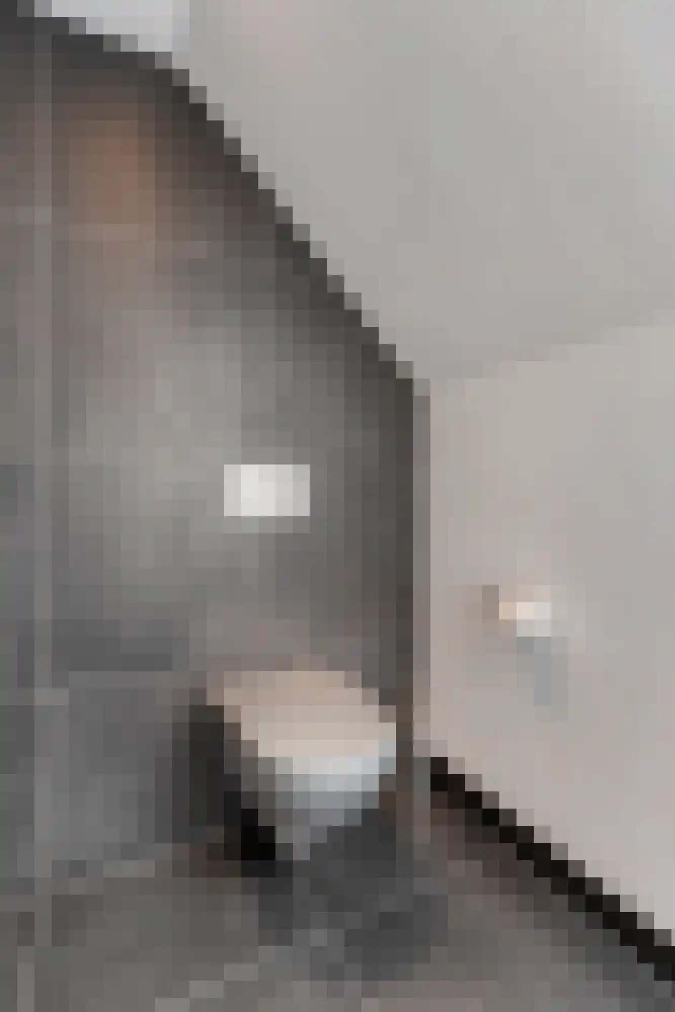 Juttepeer 13 Duiven thumbnail 41
