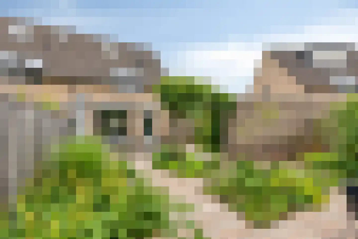 Juttepeer 13 Duiven thumbnail 50