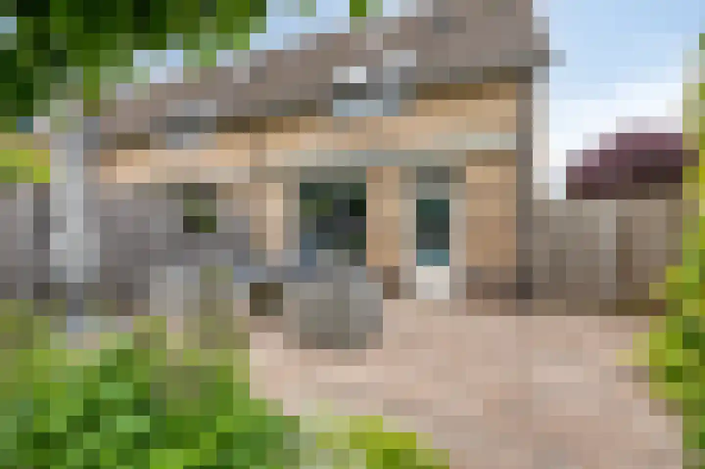 Juttepeer 13 Duiven thumbnail 52