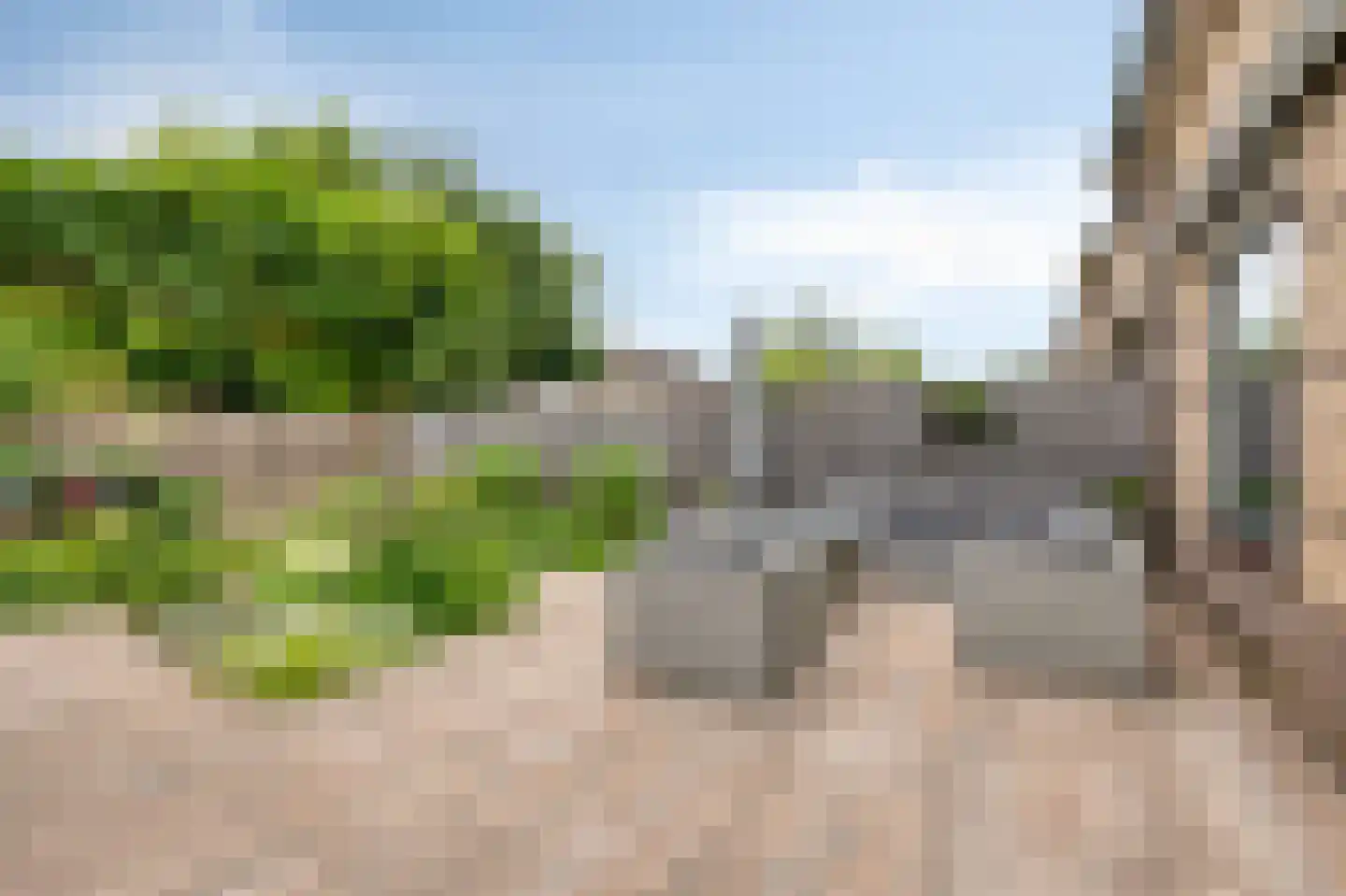 Juttepeer 13 Duiven thumbnail 53