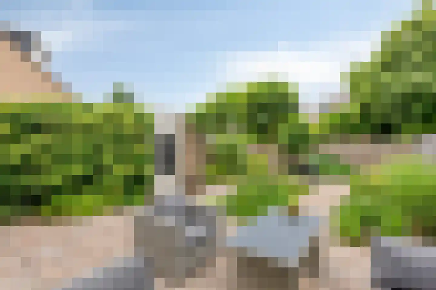 Juttepeer 13 Duiven thumbnail 54