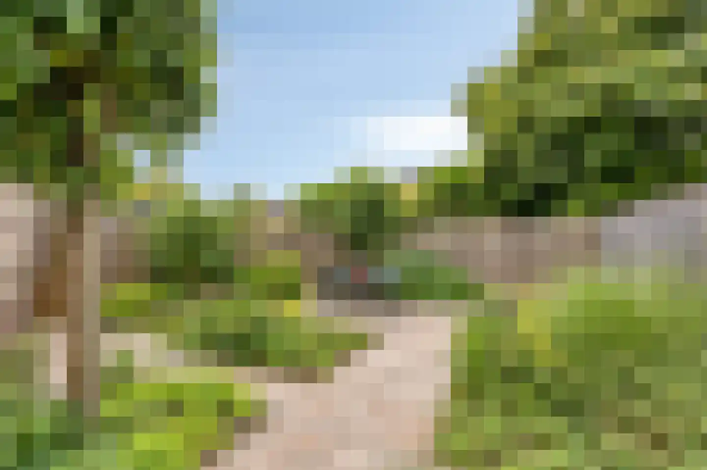 Juttepeer 13 Duiven thumbnail 55