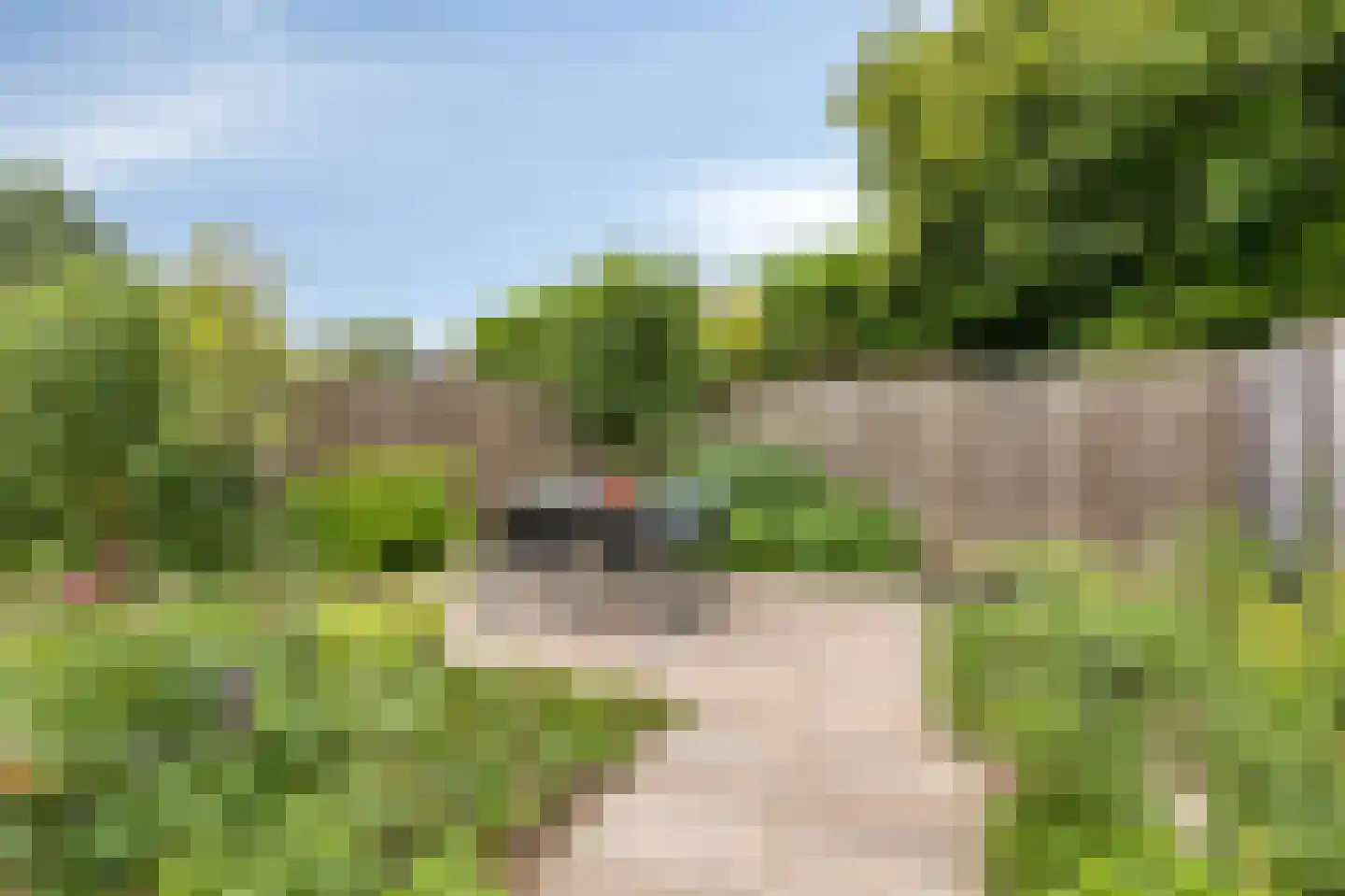 Juttepeer 13 Duiven thumbnail 56