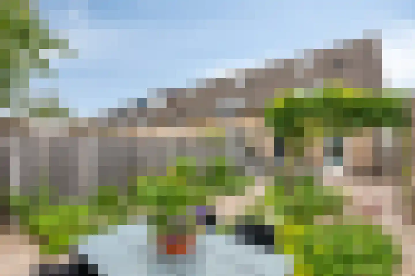 Juttepeer 13 Duiven thumbnail 59