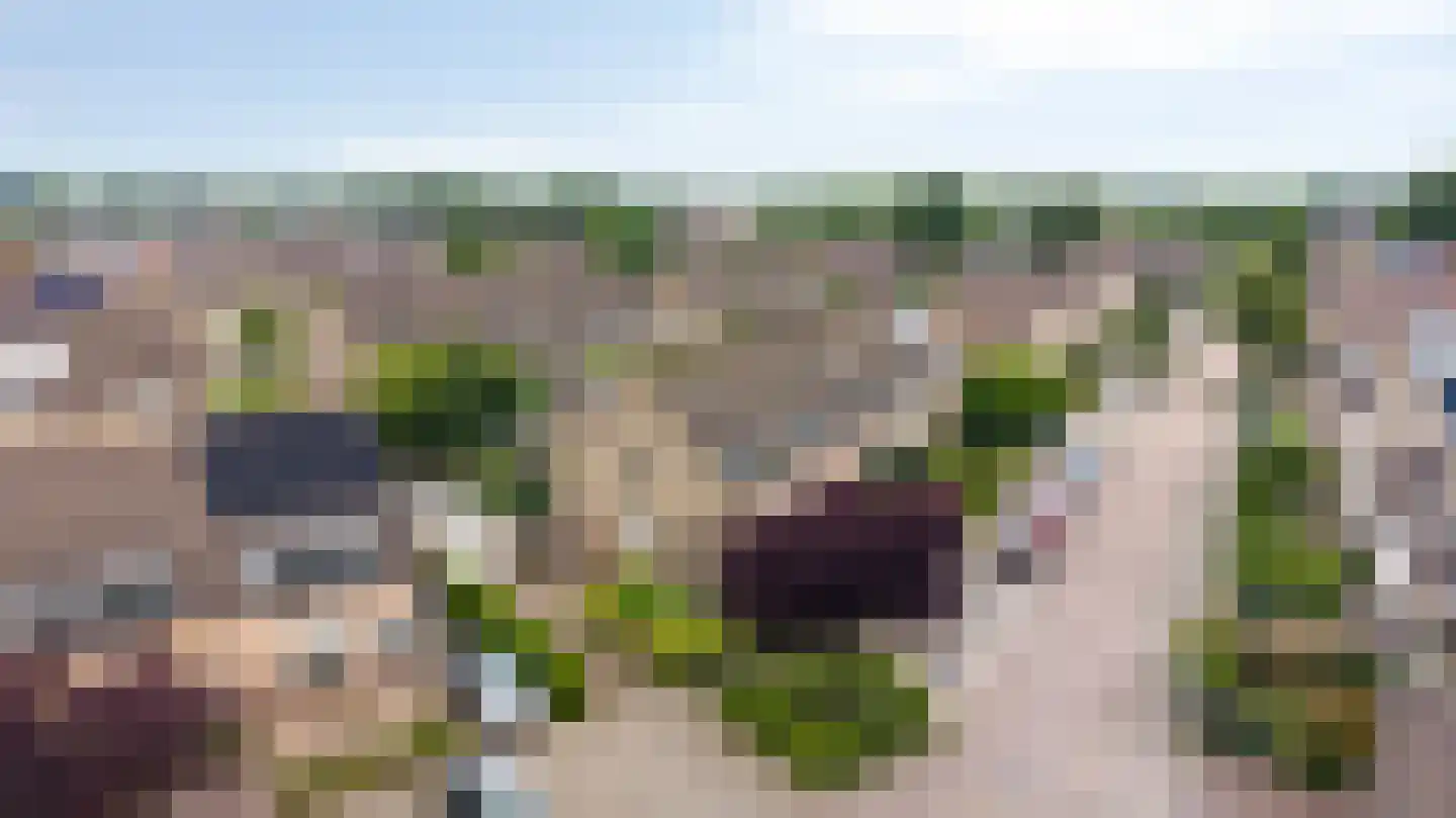 Juttepeer 13 Duiven thumbnail 6