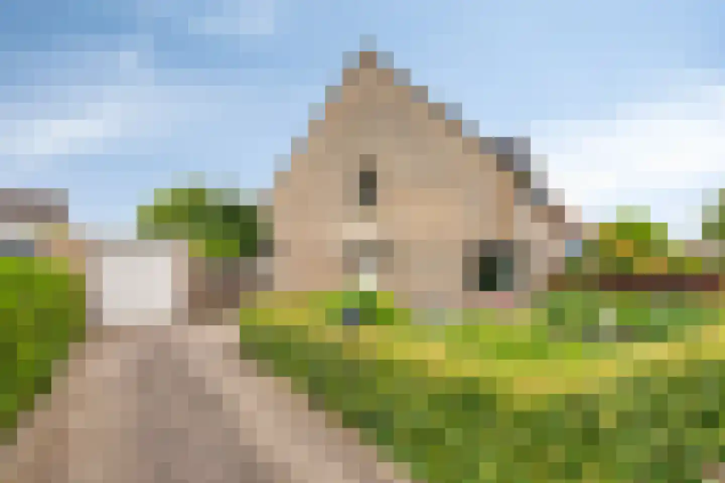 Juttepeer 13 Duiven thumbnail 61