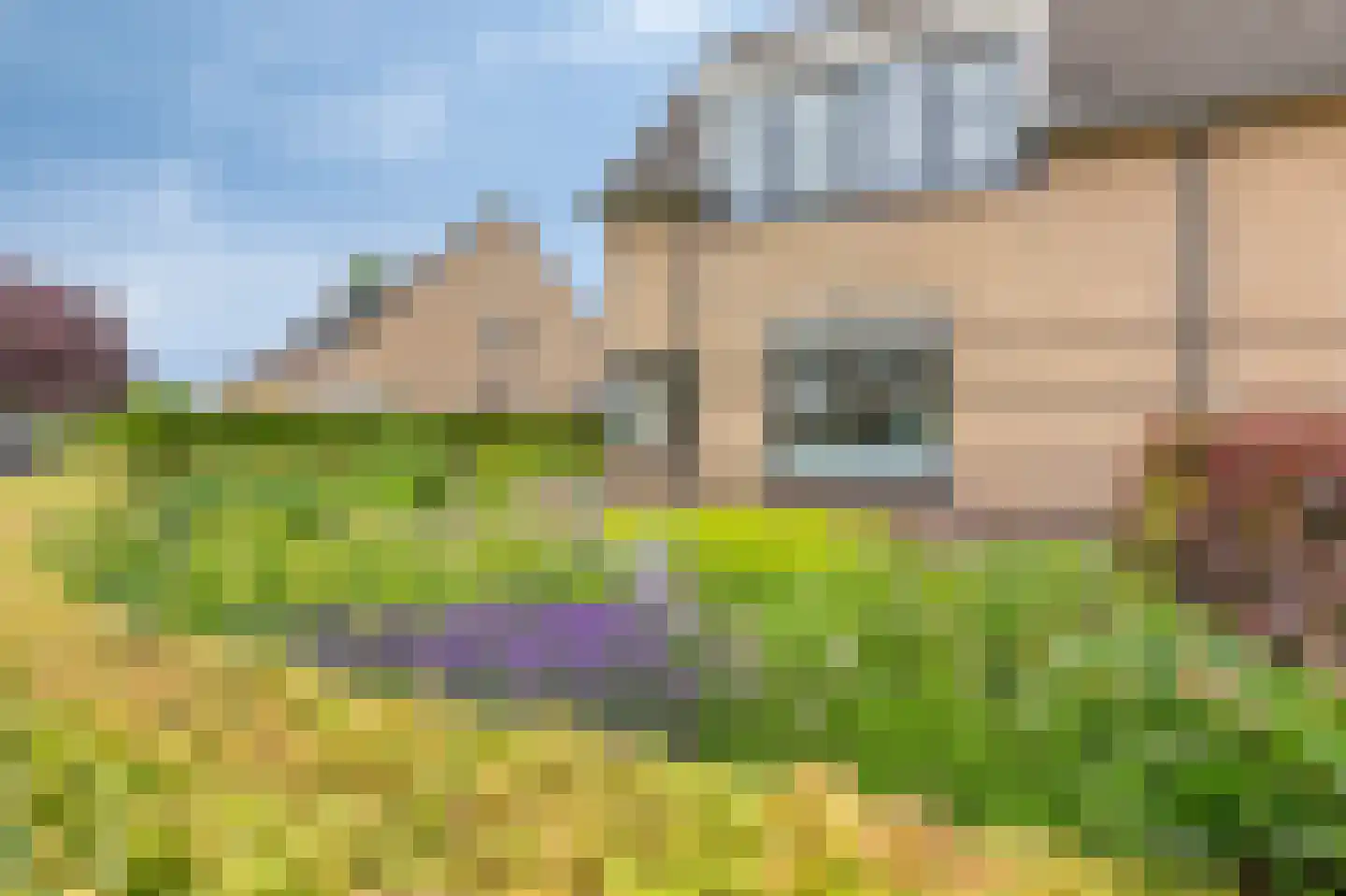 Juttepeer 13 Duiven thumbnail 64