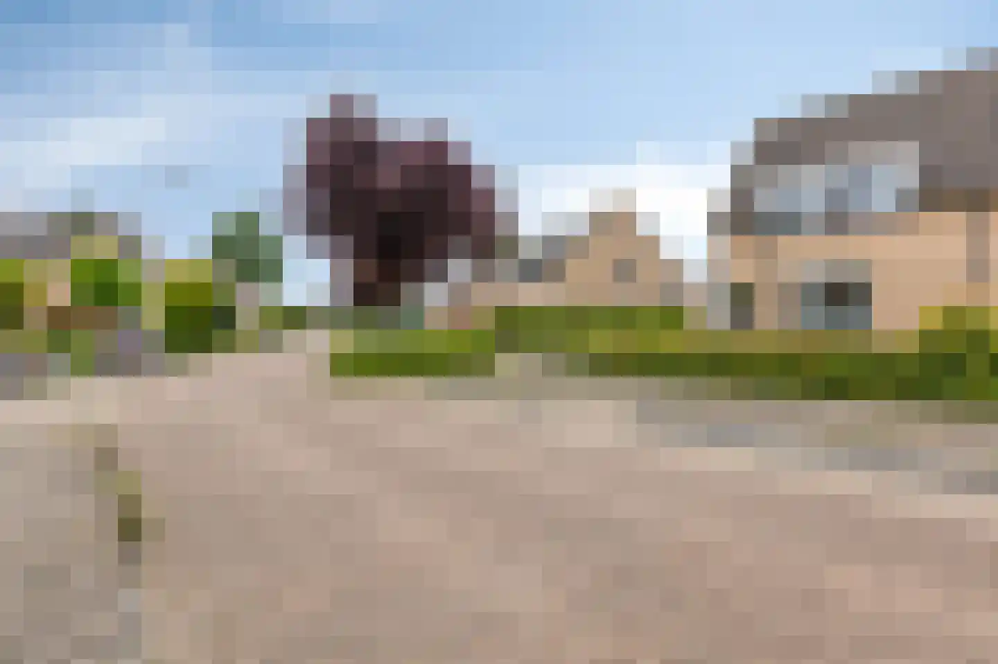 Juttepeer 13 Duiven thumbnail 65