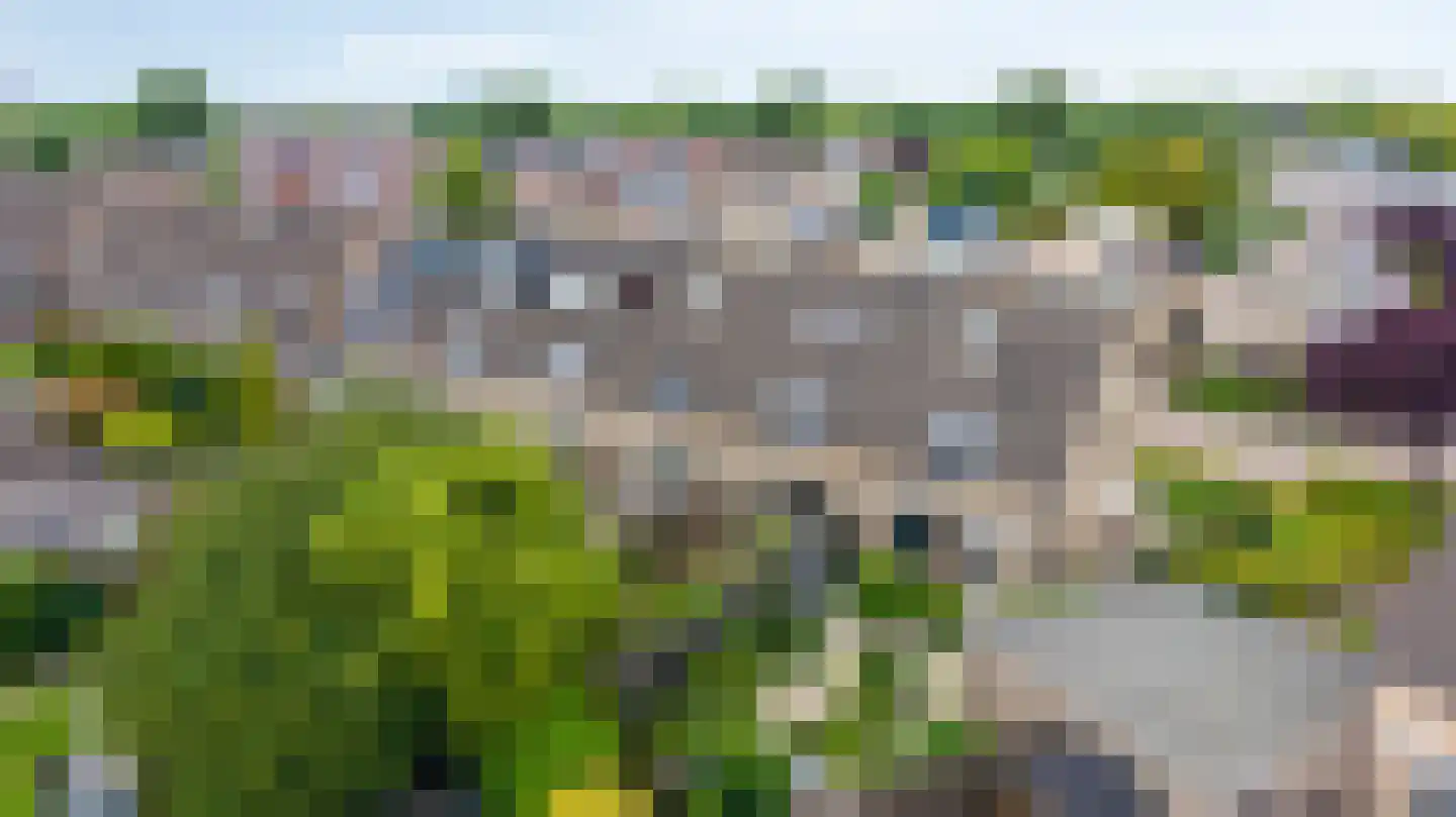 Juttepeer 13 Duiven thumbnail 67