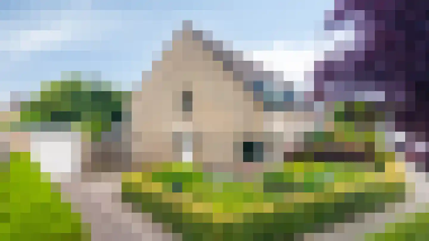 Juttepeer 13 Duiven thumbnail 7