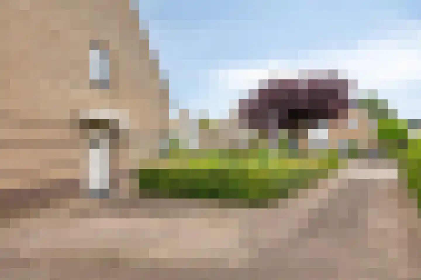 Juttepeer 13 Duiven thumbnail 8