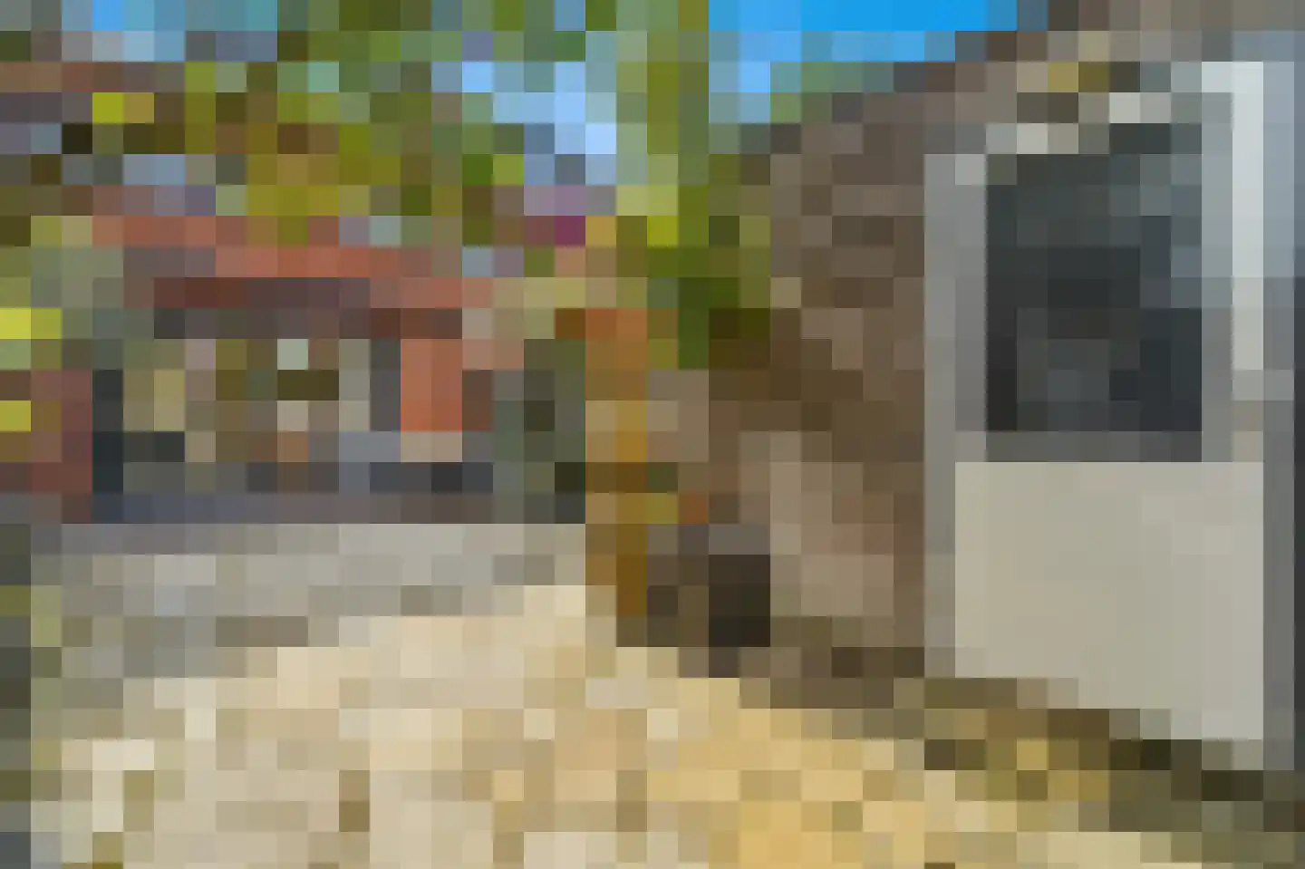 Juttepeer 22 Den Hoorn thumbnail 23