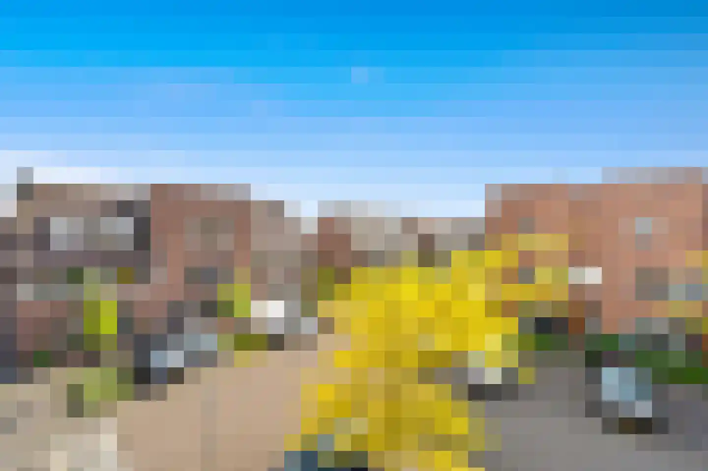 Juttepeer 22 Den Hoorn thumbnail 54
