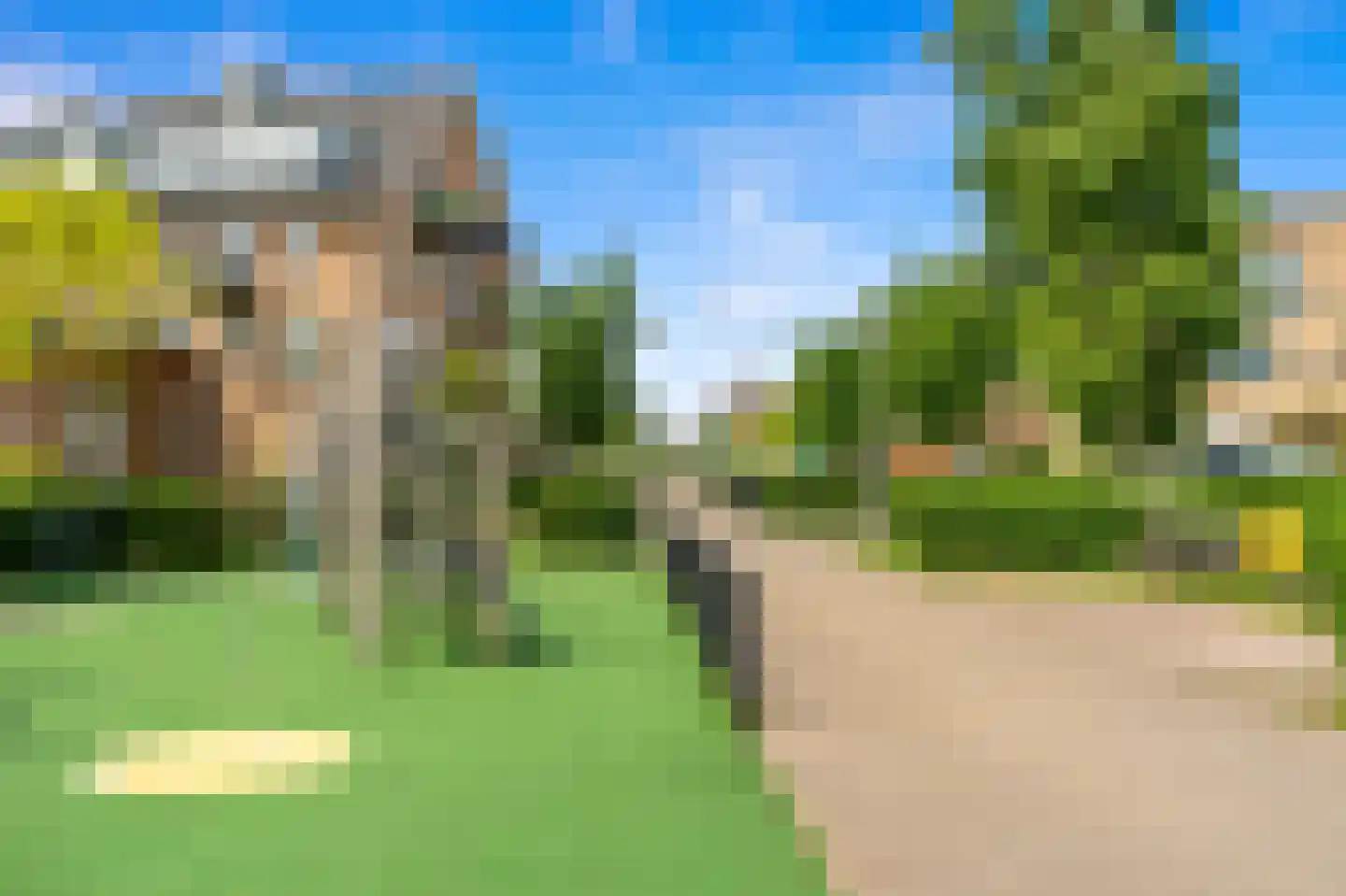 Juttepeer 22 Den Hoorn thumbnail 56